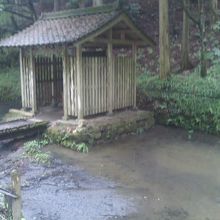 龍ヶ池付近の様子