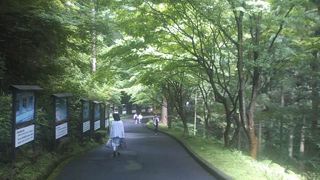 延暦寺の一番山奥にあるエリアです