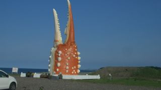 テレビでも紹介