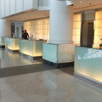 シスル ジョホール バル 