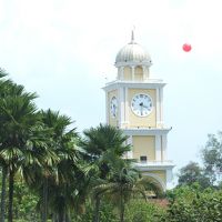 シスル ジョホール バル 