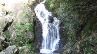 滝カフェ 器楽々