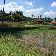 歩いた後のオアシス