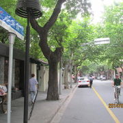 巨鹿路はプラタナス並木の続く、高級住宅街の道。