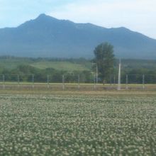 個人的にはジャガイモ畑越しの斜里岳が一番好きです