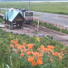 原生花園越しに原生花園駅を望みます