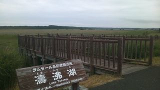 湖畔までは結構遠く感じる湖です