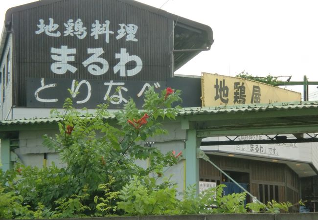 様々な鶏肉料理。