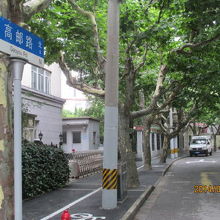 高郵路のプラタナス並木が続きます。