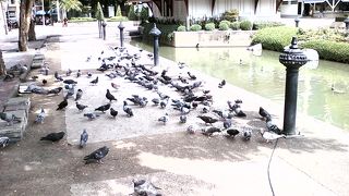 都会のオアシス