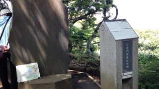 この辺りから見る景色が素敵です