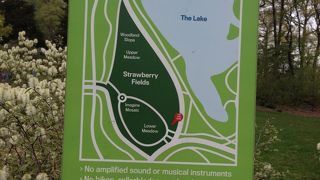 写真撮影も一苦労です