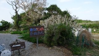 海が見える席を独占