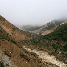 大地のエネルギーを体感できます。