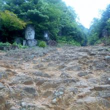 下山して中宮を過ぎ、もう少しで社殿というところの坂道の景観。