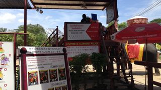 像には乗らなくても楽しめます