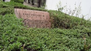 草に覆われていました。