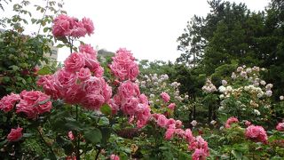 日本橋を始点として北に向かうと終点はここになります