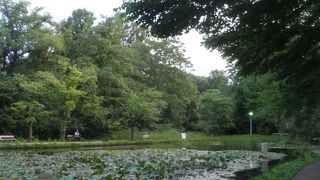 夕方の散策が気持ちよかった