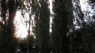 北大を代表する風景