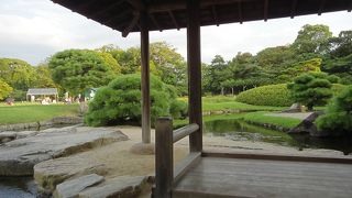 背景に岡山城がみえます