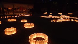 冬のライトアップ