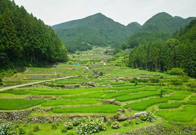 新城の自然 景勝地 クチコミ人気ランキングtop11 フォートラベル 愛知県