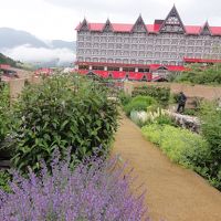 外国のホテルの様幾部屋あるのかかなり広いです。