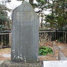 来日し富士山見て感激したとか