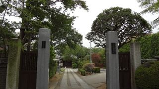 緑に囲まれた境内