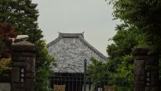 天然記念物の巨木があります