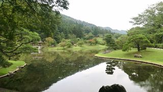 借景と鮮やかな苔！