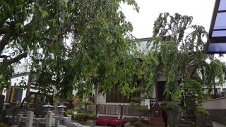 布袋様が祀られています