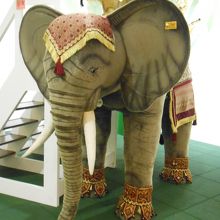 ゾウに乗ることができます！