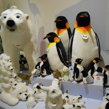 このゾーンも素敵