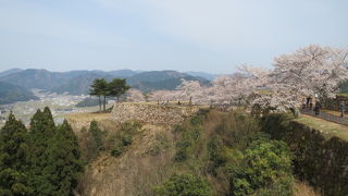 日本のマチュピチュ