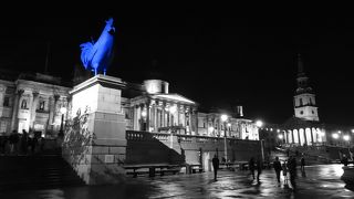 青いニワトリが！