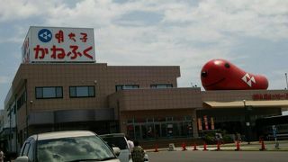 新鮮な明太子が無料で食べられます！