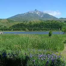 この時は最高でした！！　2003年６月２８日撮影