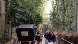 幻想的な雰囲気がいい！