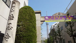 大田道灌ゆかりのお寺だそうです