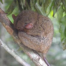 寝ていることが多いです