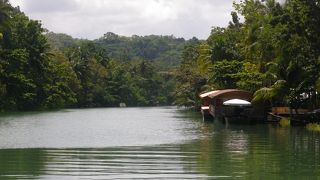 食事をしながら眺められます