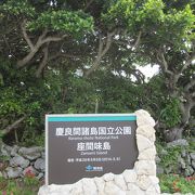 祝・国立公園！