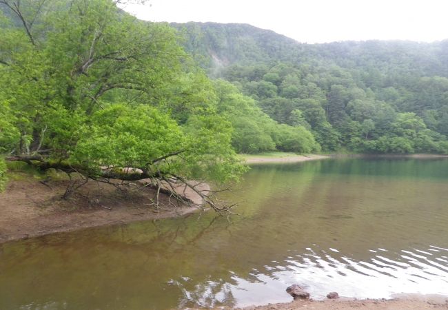 整備されたハイキングコースを湯元温泉から光徳牧場へ