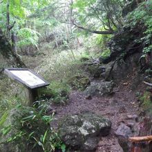 小峠への登山道