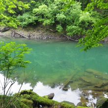 登山道から見る刈込湖