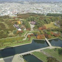 タワーからの風景