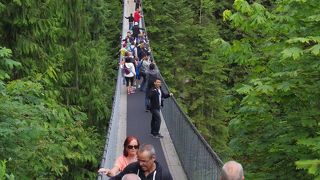 近場で自然を楽しめます