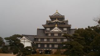 岡山のシンボル岡山城！天守閣から市内を見下ろせます。